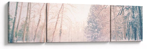 Obraz - Widok na las (170x50 cm)