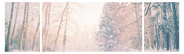 Obraz - Widok na las (170x50 cm)