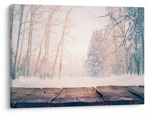 Obraz - Widok na las (70x50 cm)