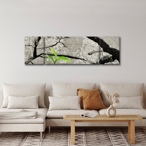 Obraz - Pęknięcia (170x50 cm)