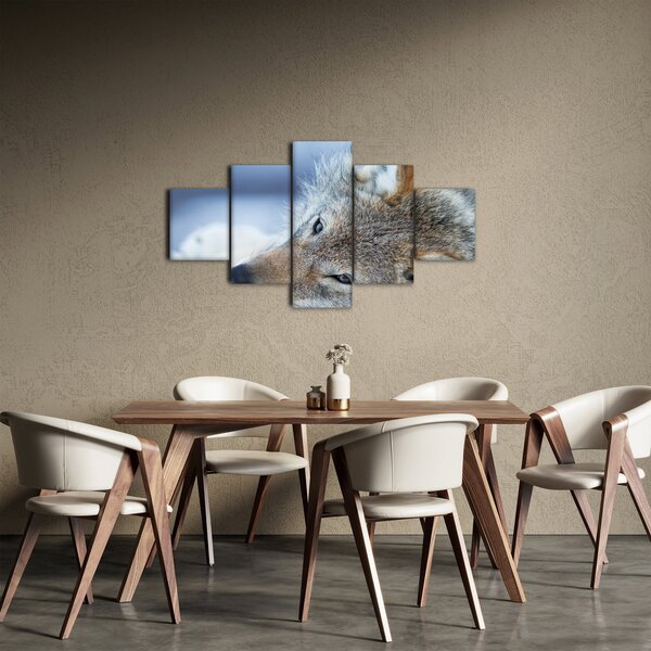 Obraz - Wilk (125x70 cm)
