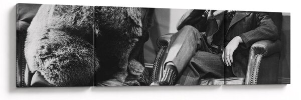 Obraz - Cyrk (170x50 cm)