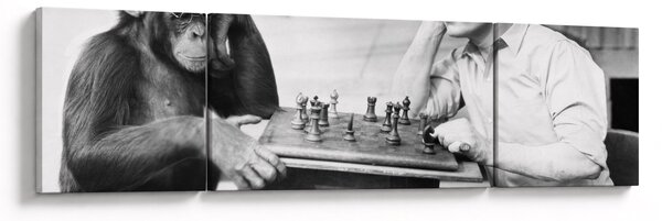 Obraz - Cyrk 2 (170x50 cm)