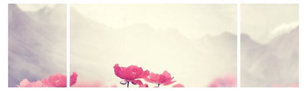 Obraz - Maki (170x50 cm)