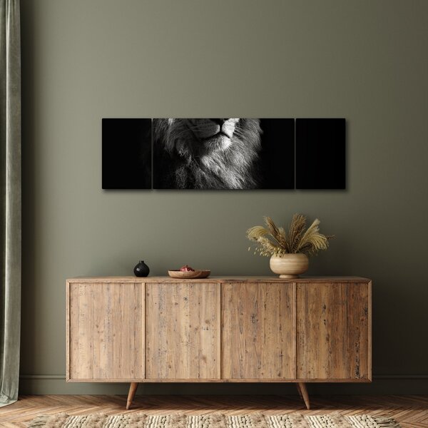 Obraz - Lew (170x50 cm)