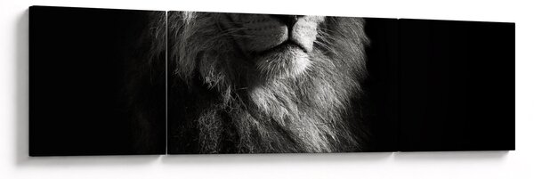 Obraz - Lew (170x50 cm)