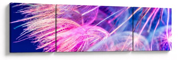 Obraz - Makro (170x50 cm)