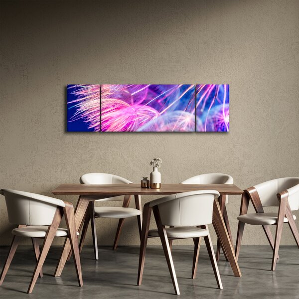 Obraz - Makro (170x50 cm)