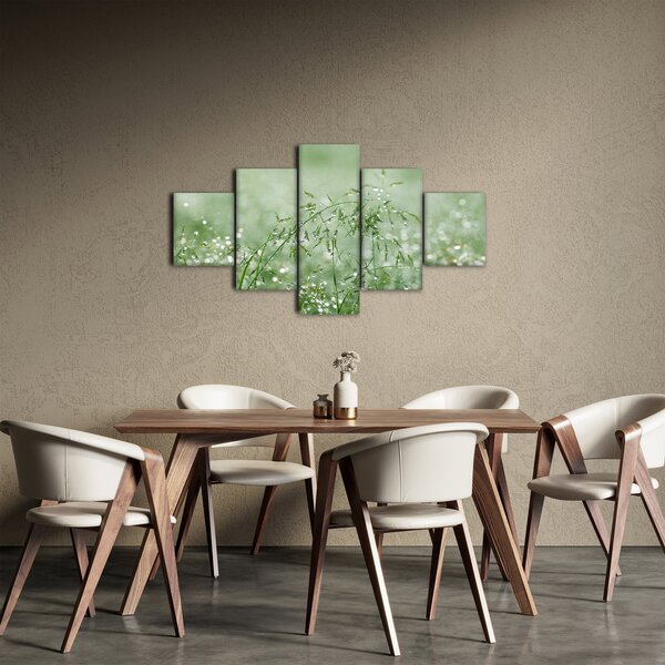 Obraz - Rosa na trawie (125x70 cm)