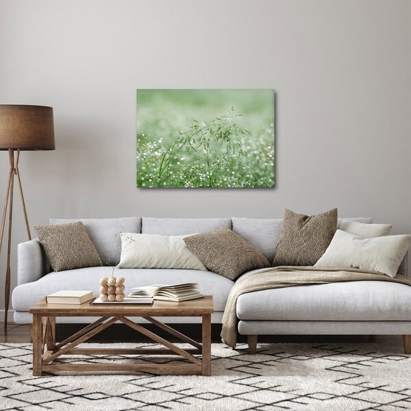 Obraz - Rosa na trawie (70x50 cm)