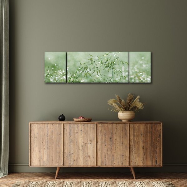 Obraz - Rosa na trawie (170x50 cm)