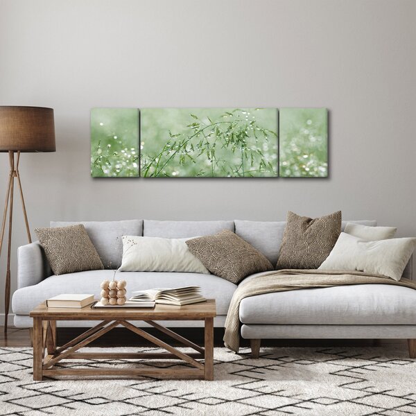 Obraz - Rosa na trawie (170x50 cm)