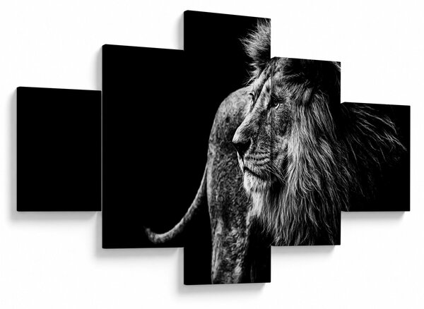 Obraz - Lew (125x70 cm)