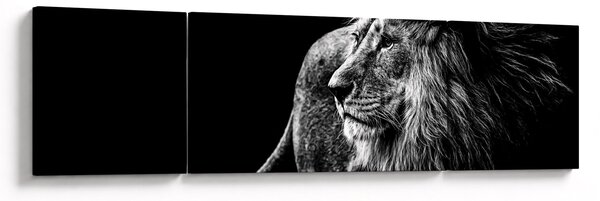 Obraz - Lew (170x50 cm)