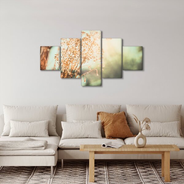 Obraz - Rośliny łąkowe (125x70 cm)