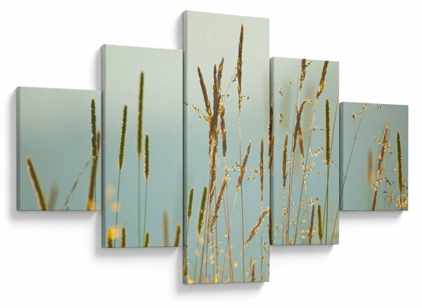 Obraz - Łąkowa chwila (125x70 cm)