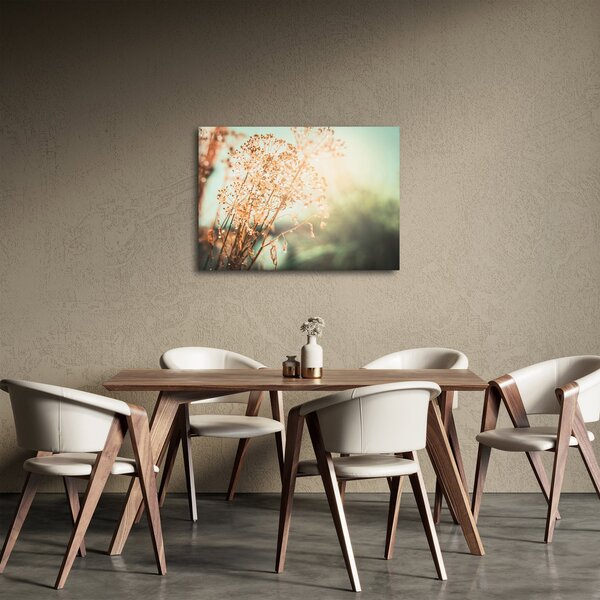 Obraz - Rośliny łąkowe (70x50 cm)