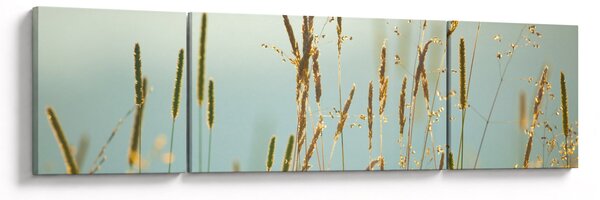 Obraz - Łąkowa chwila (170x50 cm)