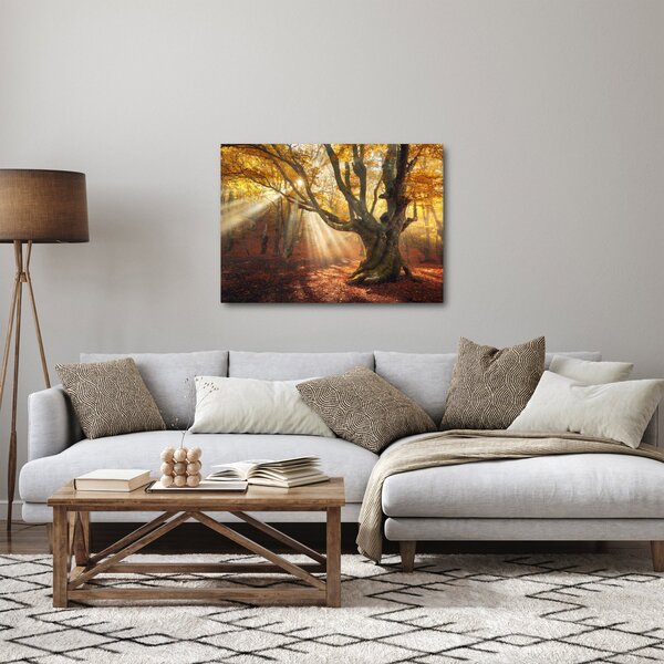 Obraz - Jesienny świt (70x50 cm)