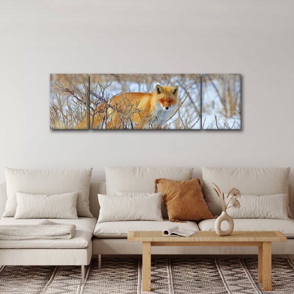 Obraz - Lis (170x50 cm)
