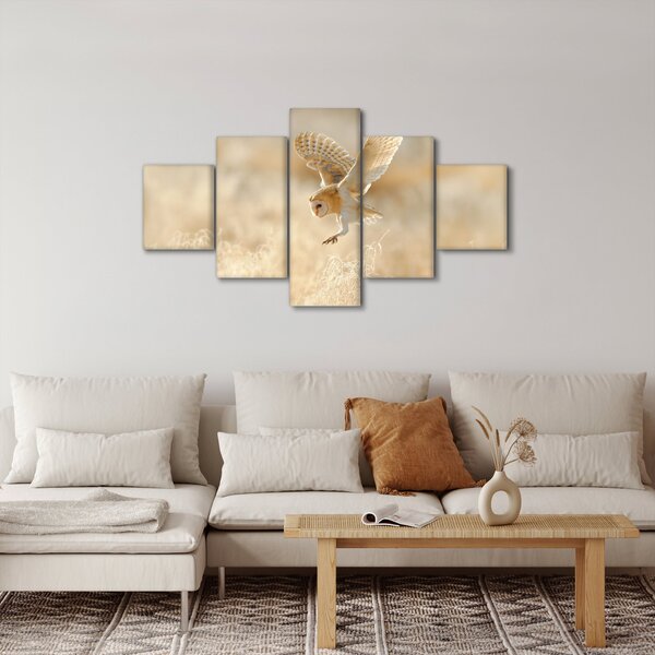 Obraz - Sowa (125x70 cm)