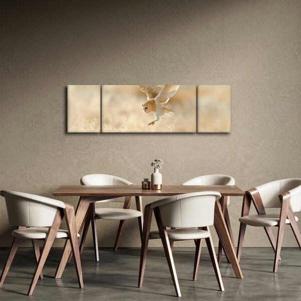 Obraz - Sowa (170x50 cm)