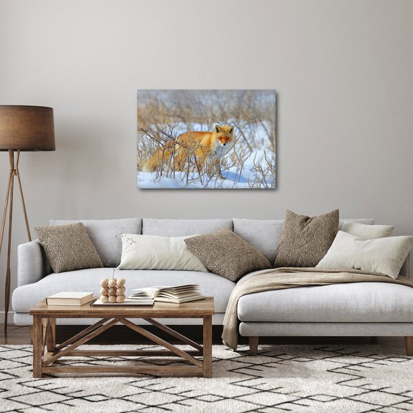 Obraz - Lis (70x50 cm)