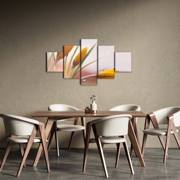 Obraz - Wiosenne kwiaty (125x70 cm)