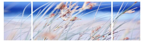 Obraz - Bryza (170x50 cm)