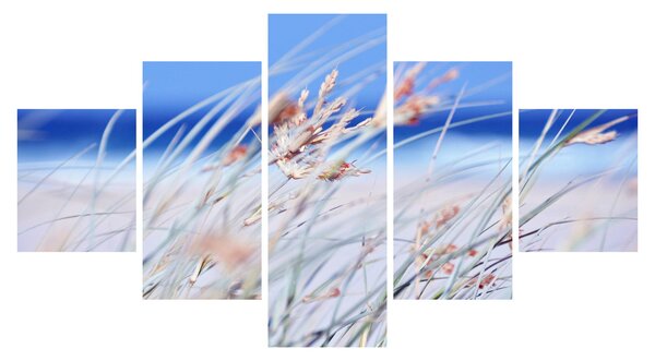 Obraz - Bryza (125x70 cm)