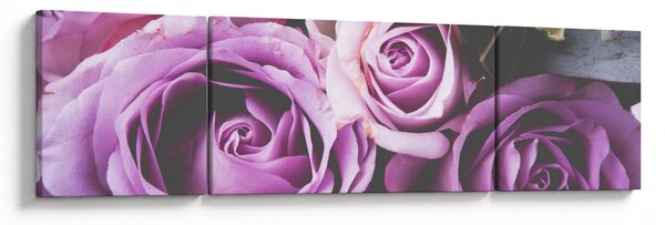 Obraz - Różyczki (170x50 cm)