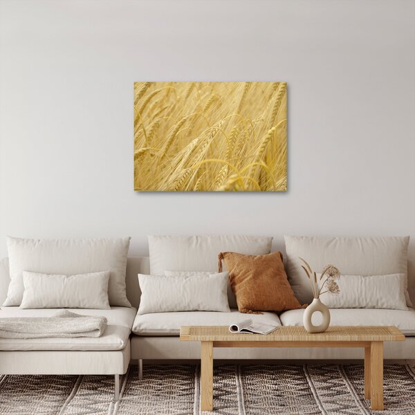 Obraz - Jęczmień (70x50 cm)