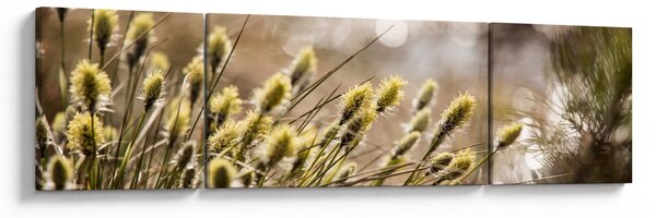 Obraz - Zieleń (170x50 cm)