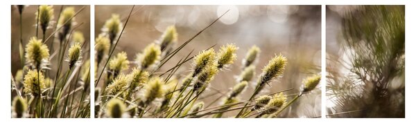 Obraz - Zieleń (170x50 cm)