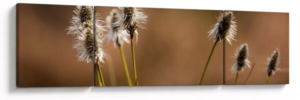 Obraz - Trawa (170x50 cm)