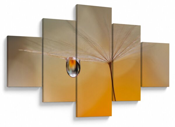 Obraz - Makro kwiat (125x70 cm)
