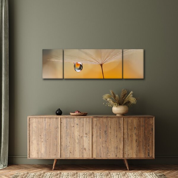 Obraz - Makro kwiat (170x50 cm)