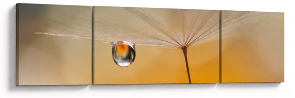 Obraz - Makro kwiat (170x50 cm)