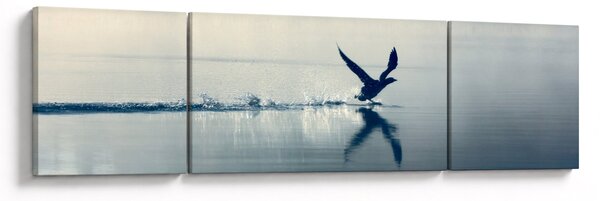 Obraz - Nury (170x50 cm)