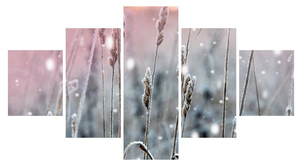 Obraz - Chwila (125x70 cm)