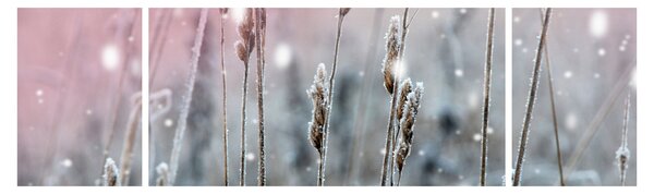 Obraz - Chwila (170x50 cm)