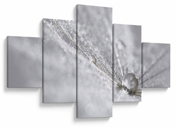 Obraz - Kropla wody (125x70 cm)