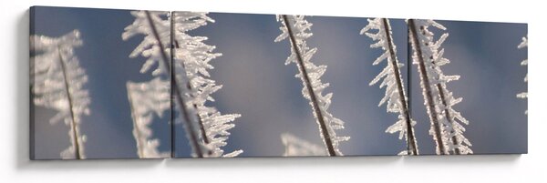 Obraz - Dziadek Mróz (170x50 cm)