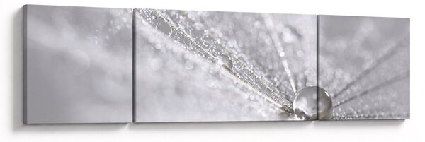 Obraz - Kropla wody (170x50 cm)