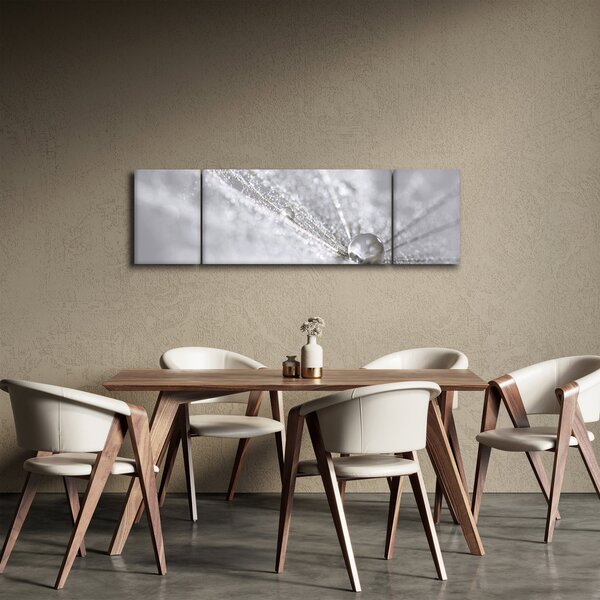Obraz - Kropla wody (170x50 cm)
