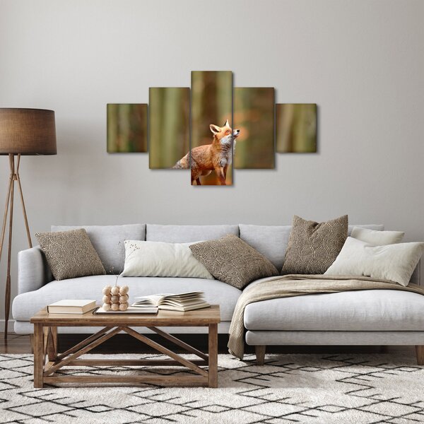 Obraz - Lis (125x70 cm)