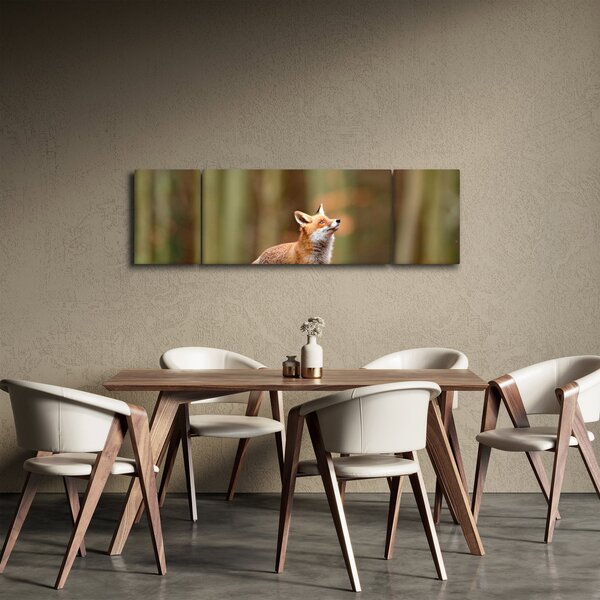 Obraz - Lis (170x50 cm)