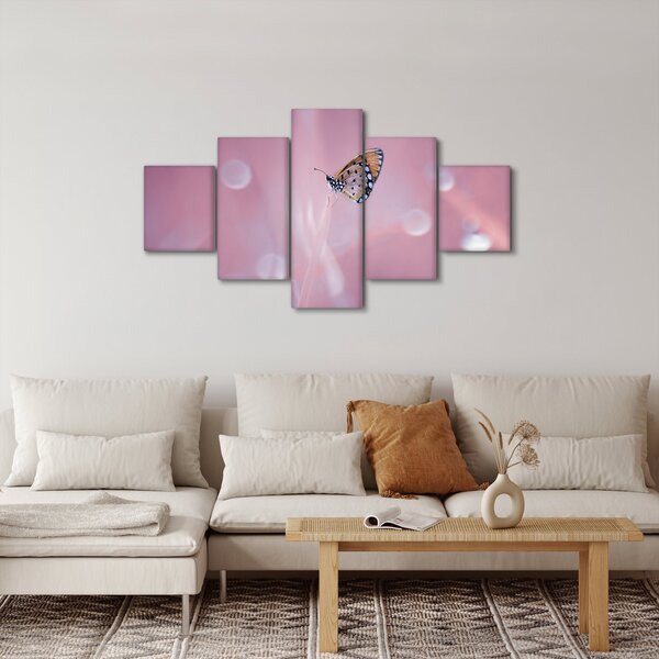 Obraz - Motylek (125x70 cm)