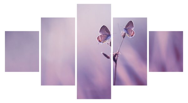 Obraz - Fioletowe motyle (125x70 cm)