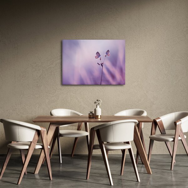 Obraz - Fioletowe motyle (70x50 cm)